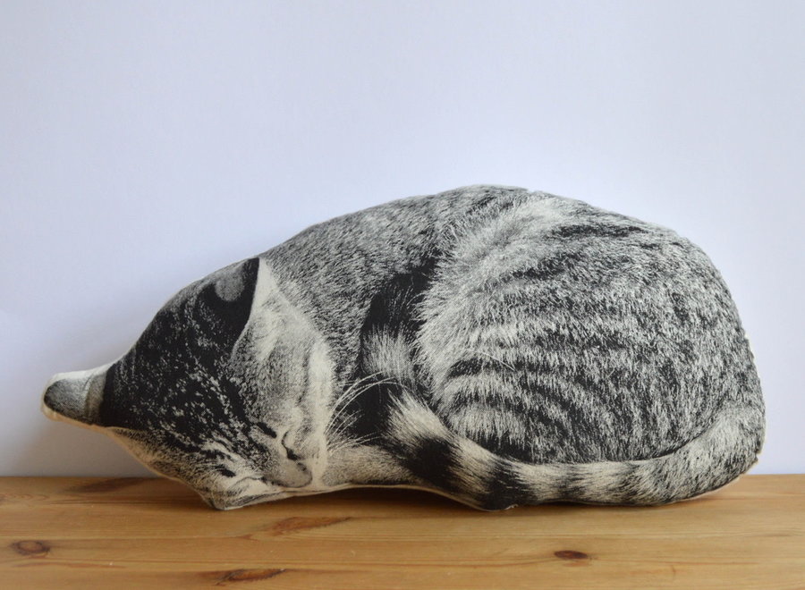 PILLOW - Sleeping Cat