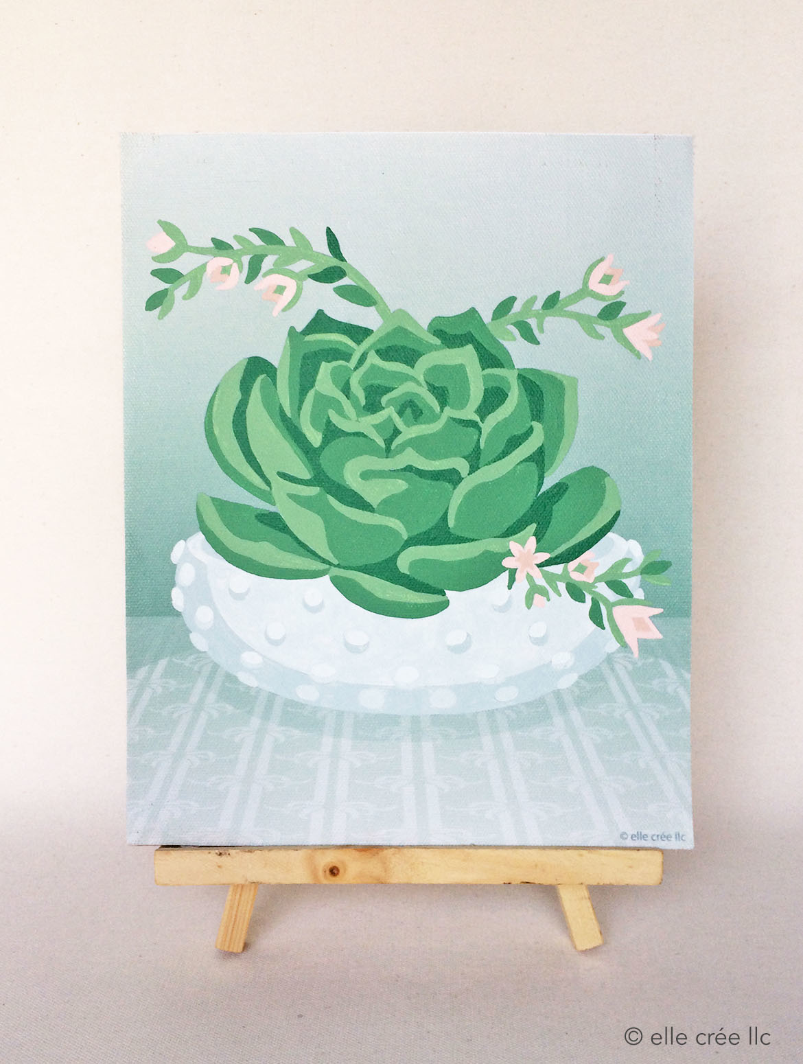 Beautiful Succulents - NEW Paint By Numbers - Paint by numbers for