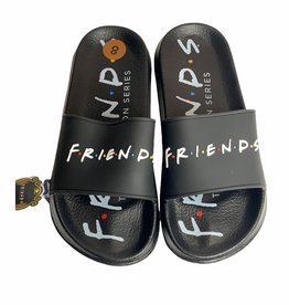 Friends Friends Slides