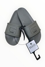 Guess Guess Slides