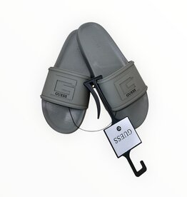 Guess Guess Slides