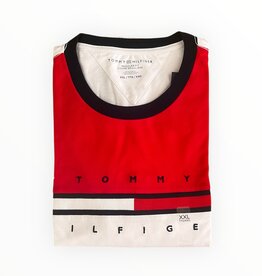 Tommy Hilfiger Tommy Hilfiger Tino Colorblock Tee