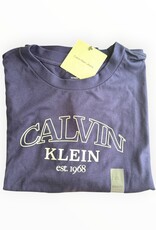 Calvin Klein Calvin Klein Graphics Boxy Logo T-Shirt
