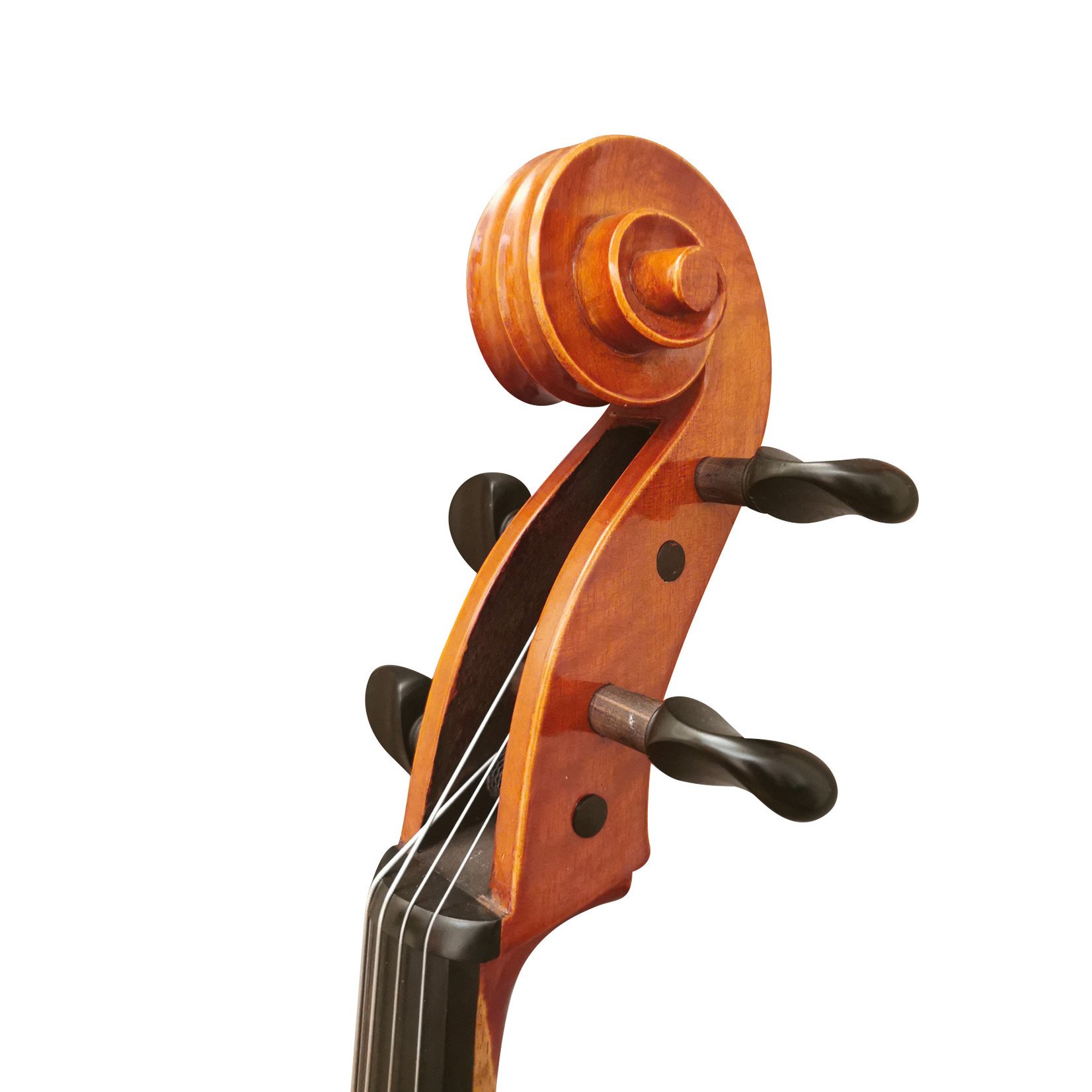 Violoncelle E. 100 | La Maison Du Violon