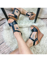 Nassa Wedges