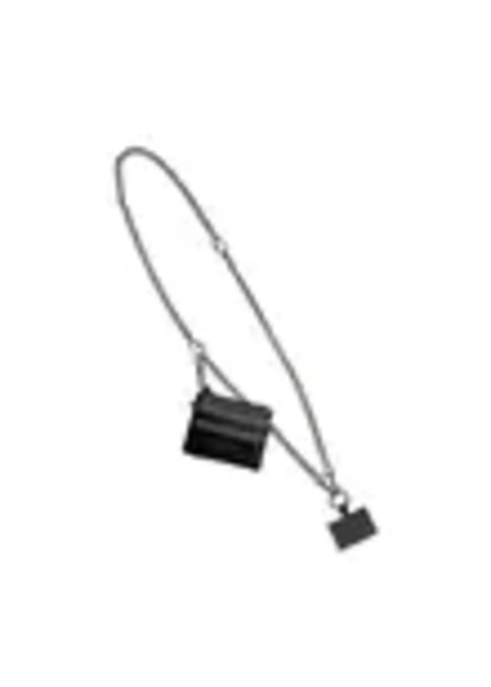 Clip and Go Phone Chain