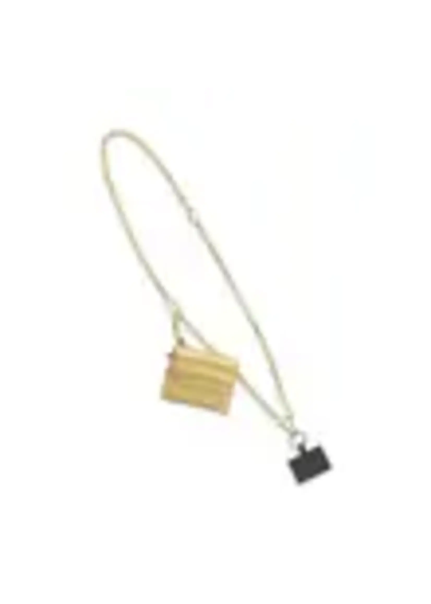 Clip and Go Phone Chain