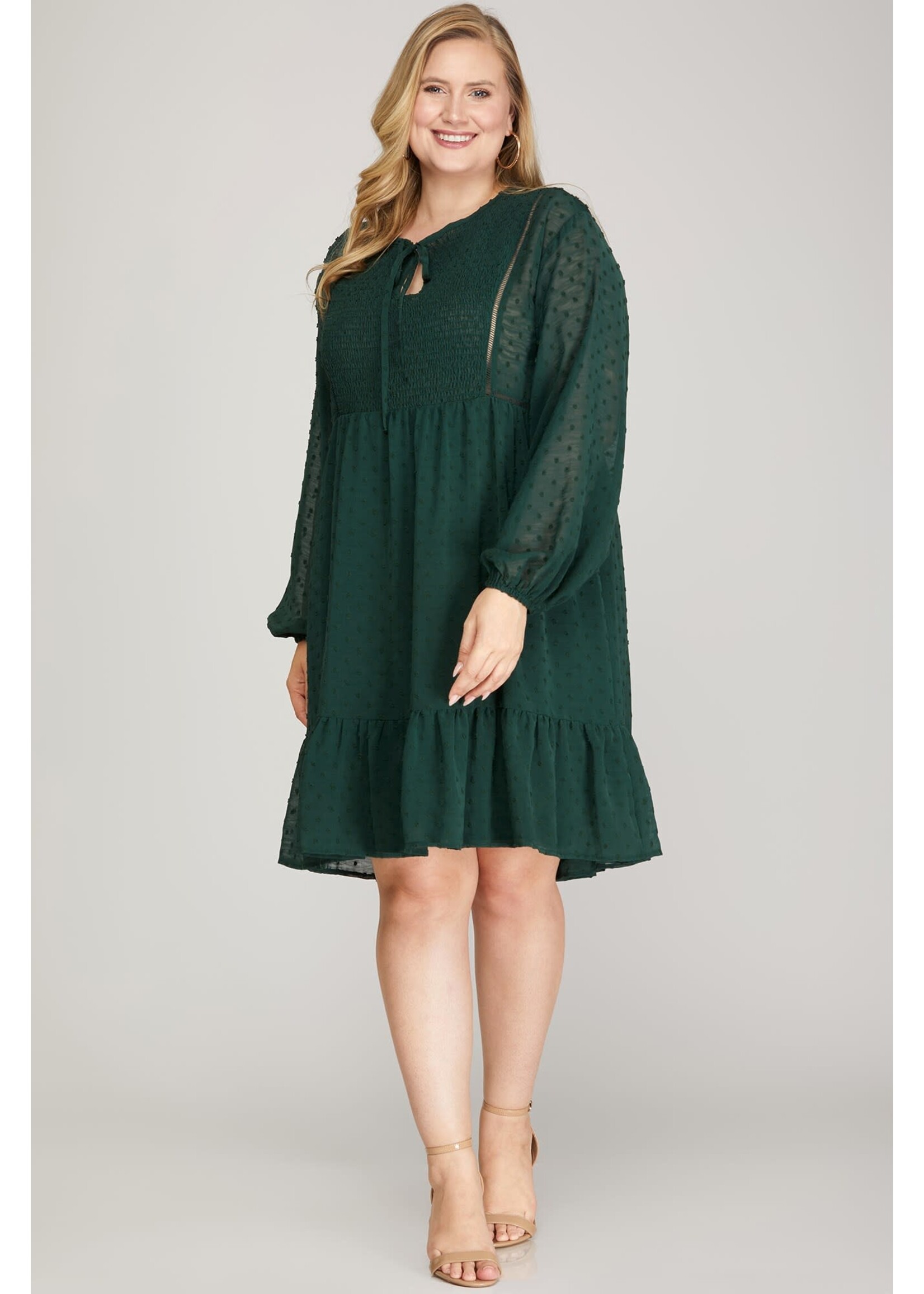Curvy Show Me Off Long Sleeve Dress
