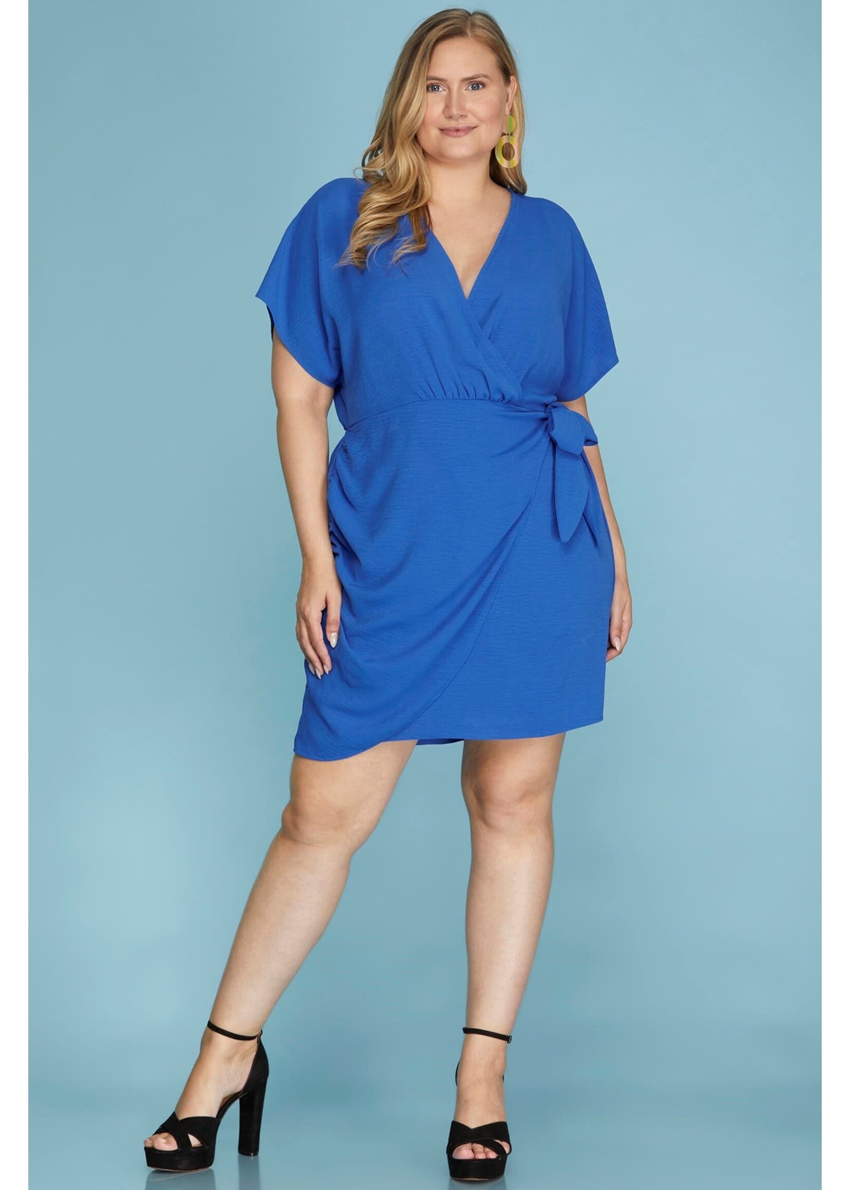 Alive and Well Curvy Dress