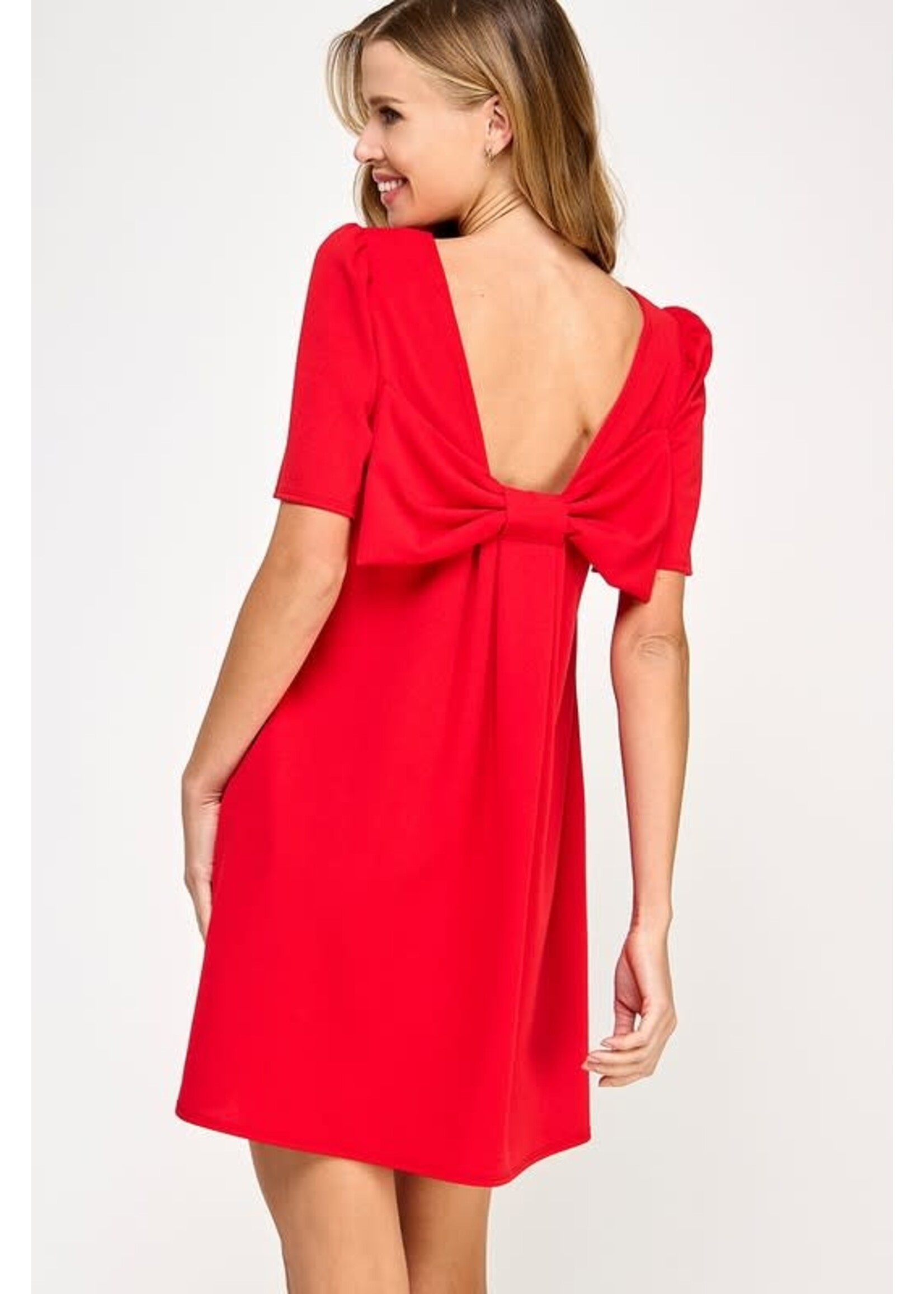 Immaculate Charisma Dress