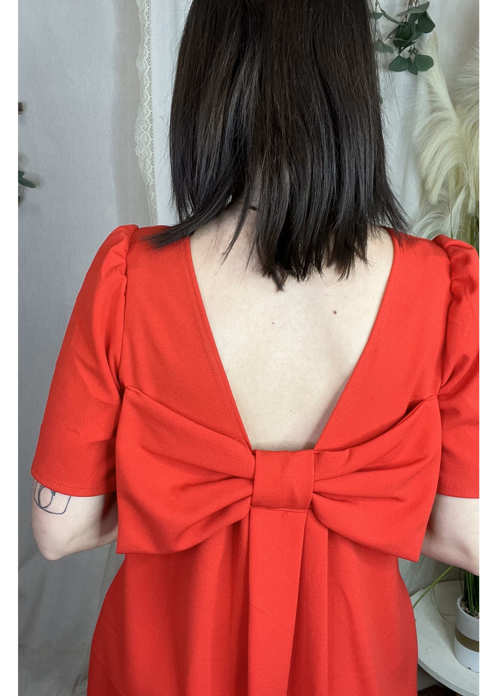 Immaculate Charisma Dress