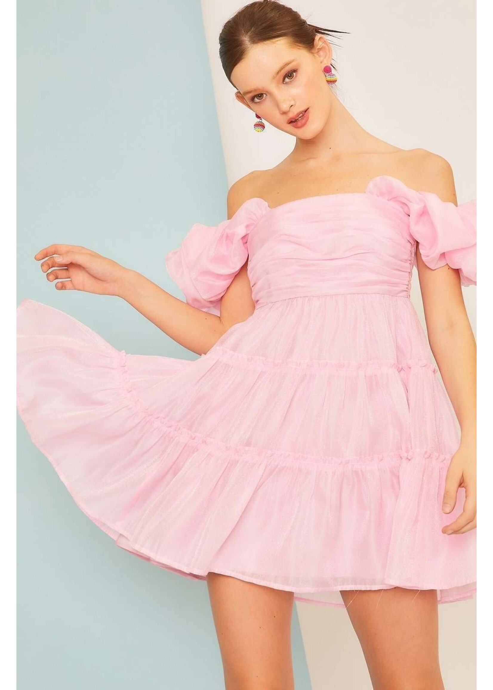 I Can't Believe They Forgot My Birthday Dress