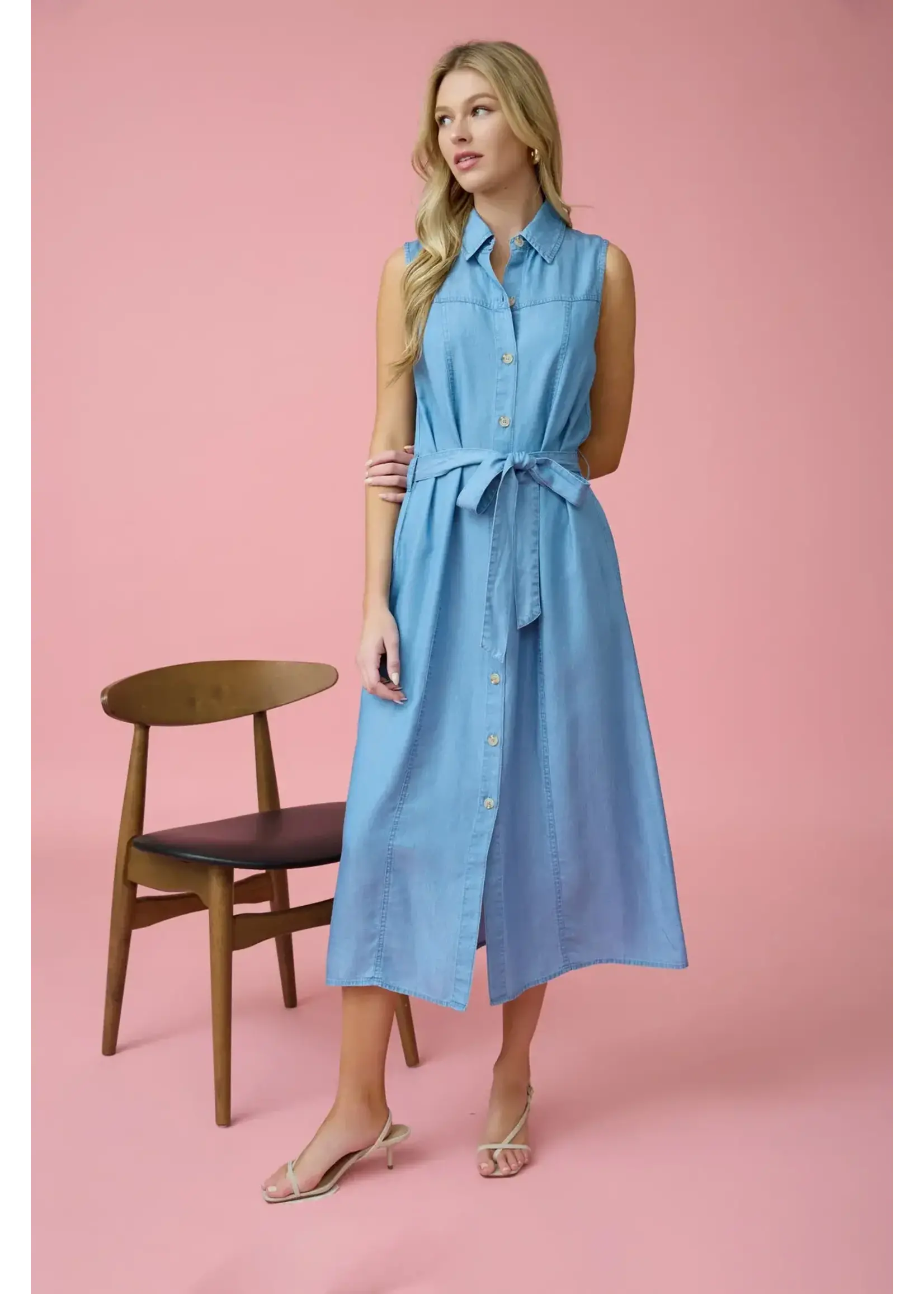 Bless Your Heart Dress