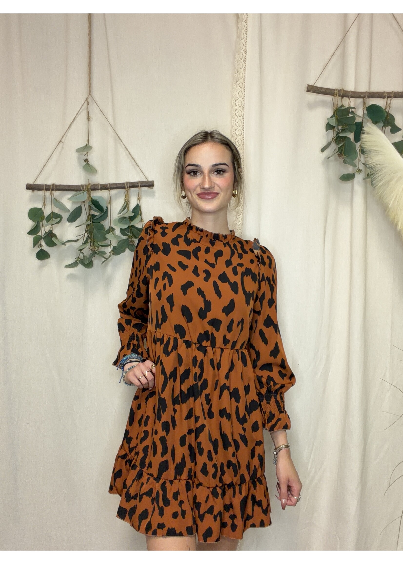 Wholesalesir Elegant Long Sleeved Dress