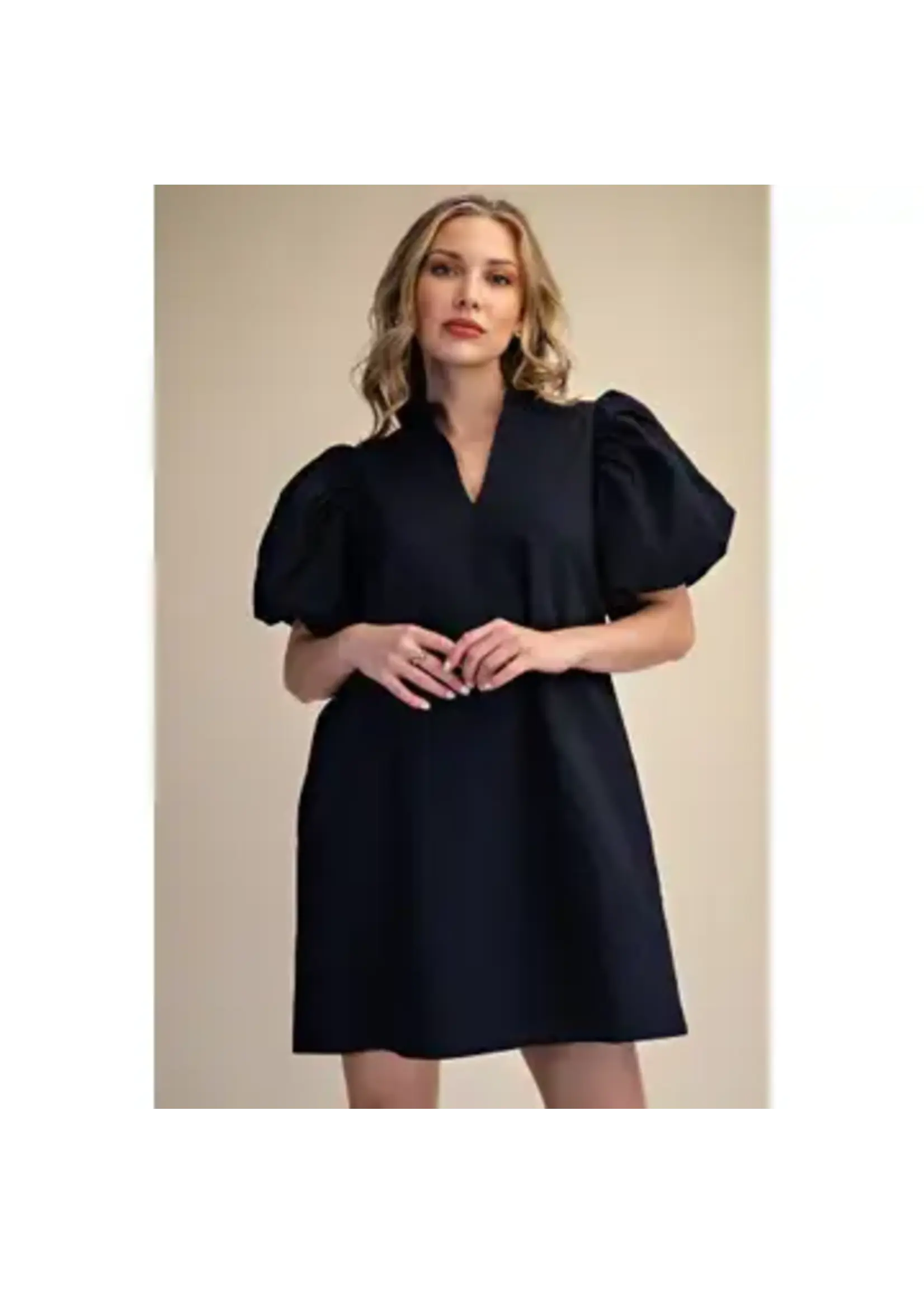 Textured Fabric Ruffle V-Neck Puff Sleeve Mini Dress