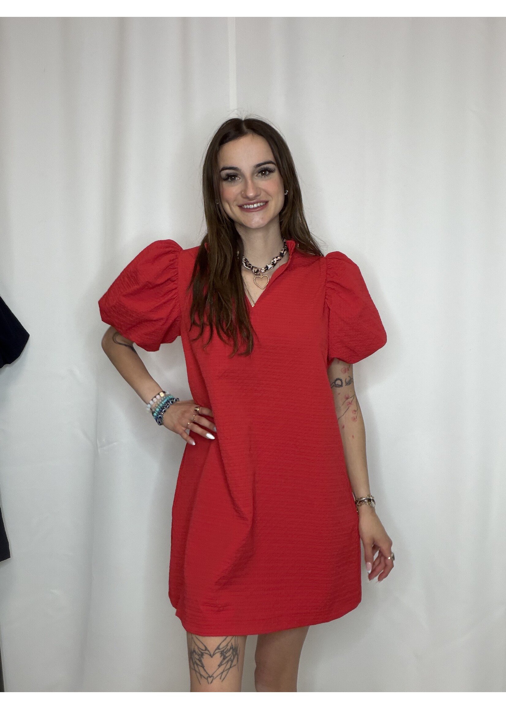 Textured Fabric Ruffle V-Neck Puff Sleeve Mini Dress