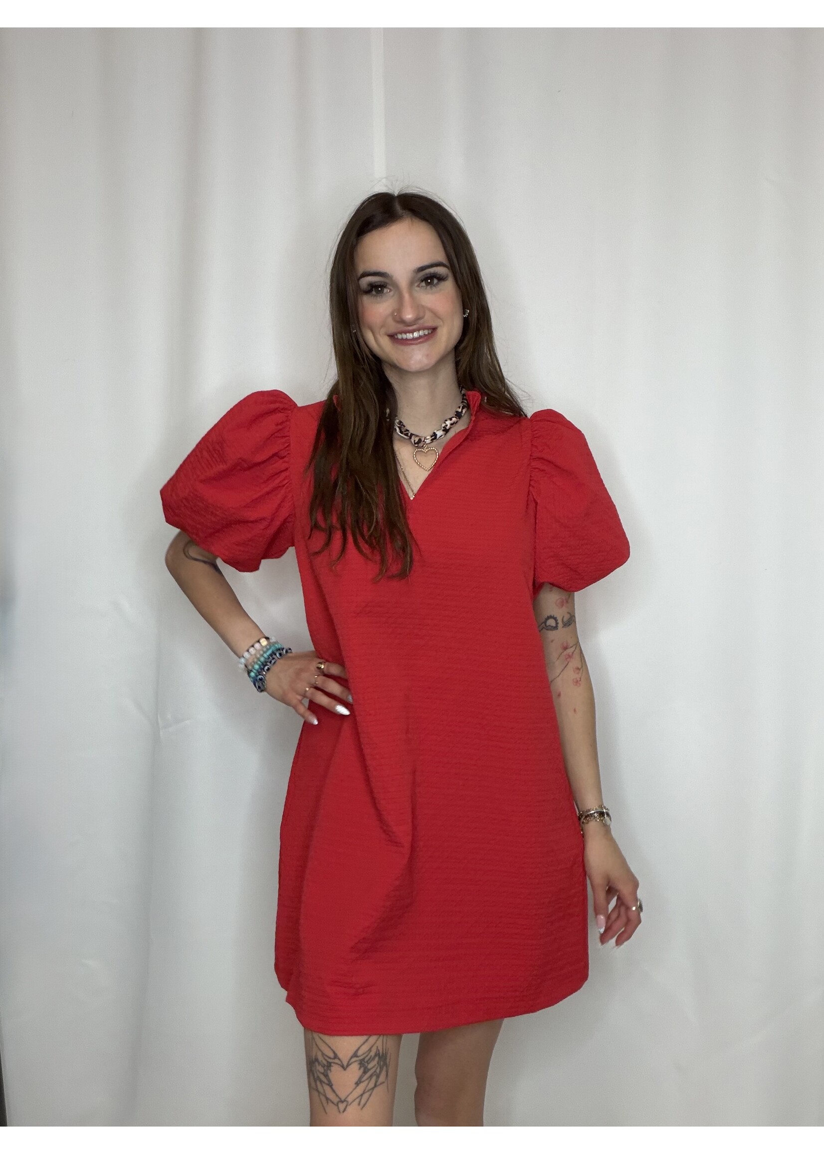 Textured Fabric Ruffle V-Neck Puff Sleeve Mini Dress