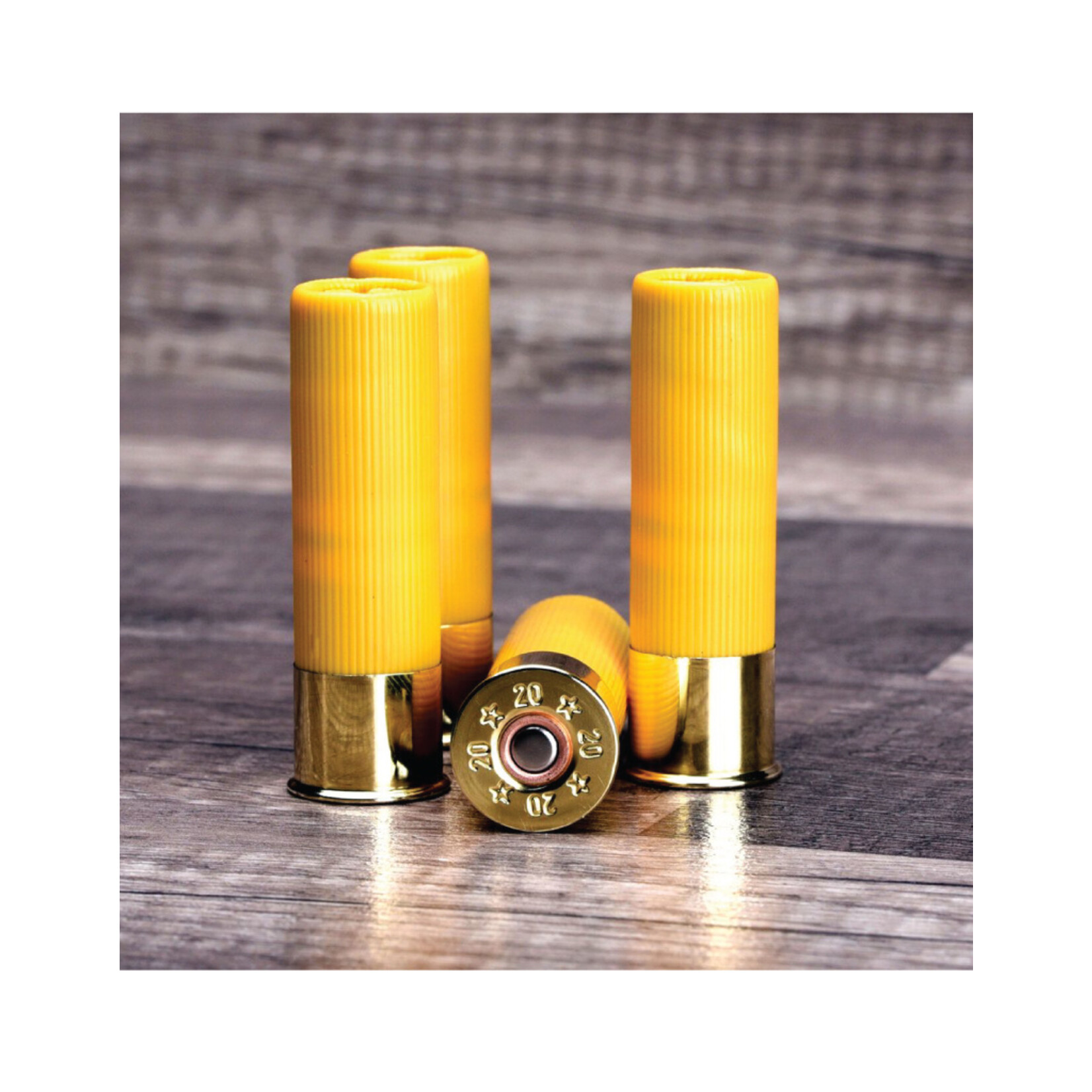 Huntego CleanShot 20ga Gun Bore Cleaner 4rd Box