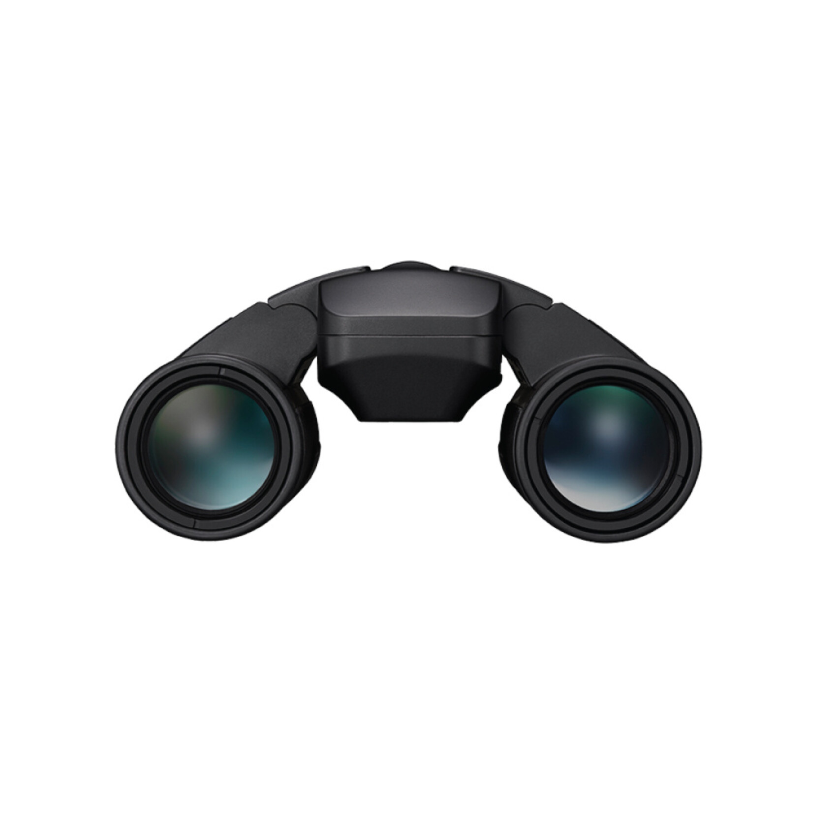 Nikon Stabilized 10x25 S Binocular