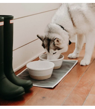 Medium Dog Bowl