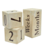Maple Landmark Portrait Prop Blocks