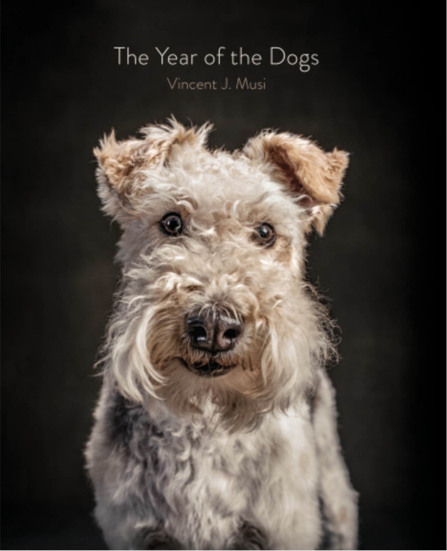 Year Of The Dog Again