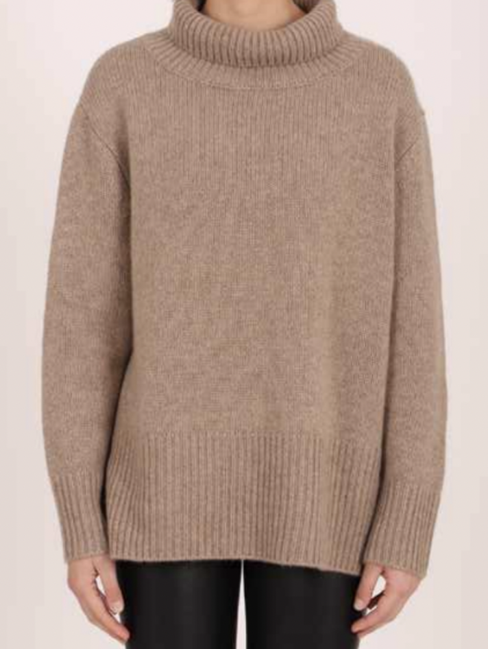 https://cdn.shoplightspeed.com/shops/637107/files/57534556/712x946x1/estheme-chunky-cashmere-turtleneck.jpg