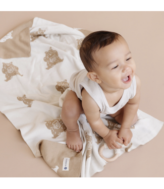 Blueberry Hill Honey Bear Blanket & Teether Set