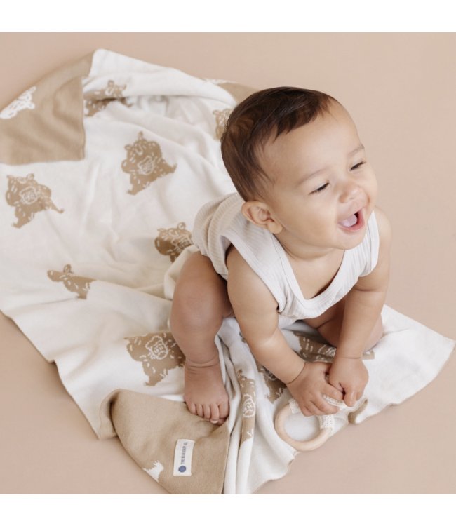 Honey Bear Blanket & Teether Set