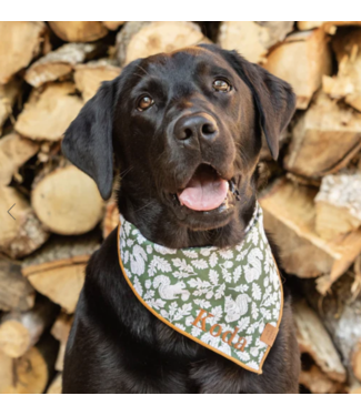 Cotton Bandana-available in 4 prints