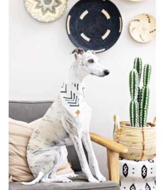 Cotton Bandana-available in 2 prints