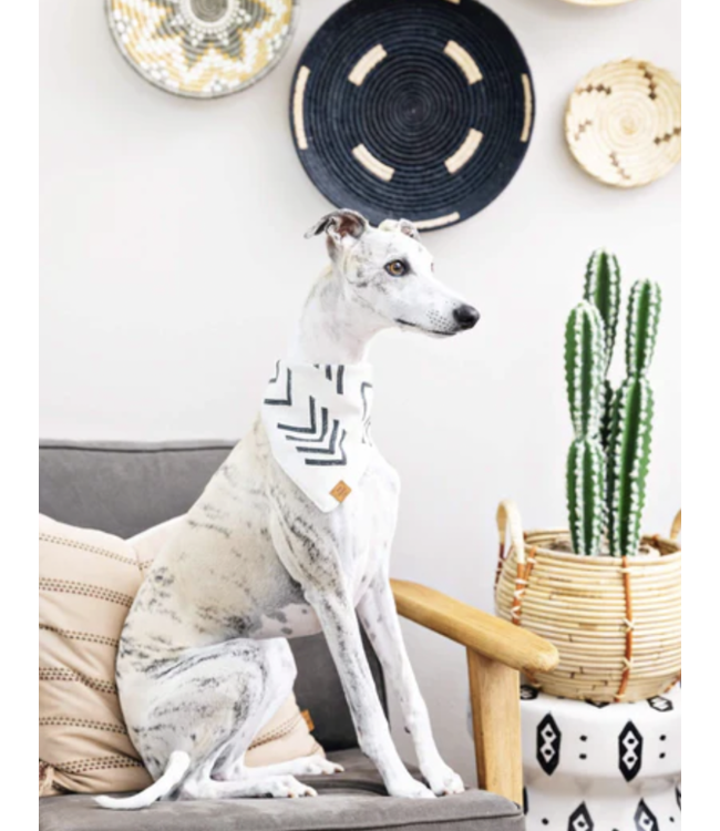 Cotton Bandana-available in 2 prints