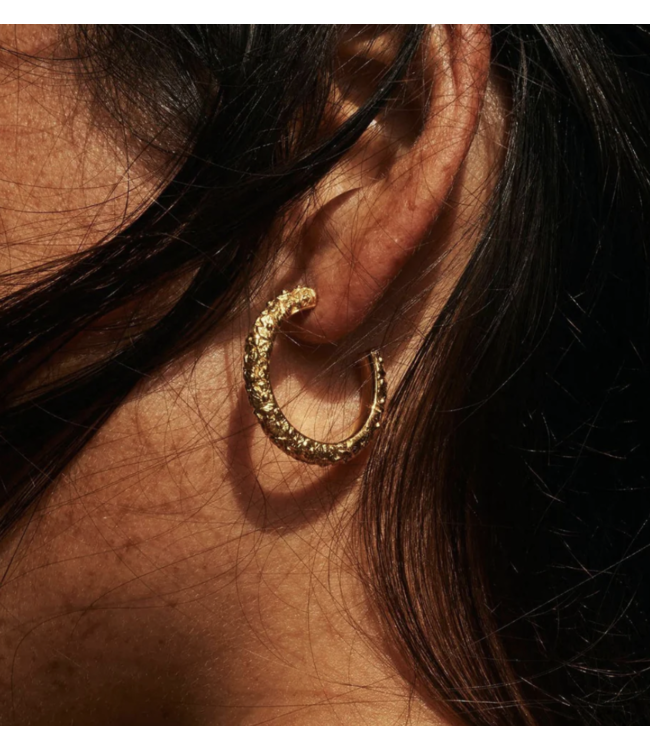 Lily Pad Root Hoops Medium
