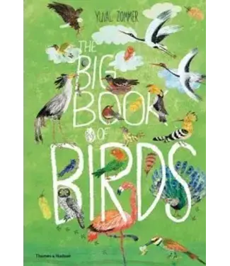 The Big Book of Birds