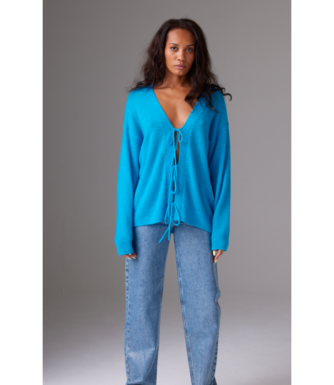 Lutzie Cashmere Cardigan in Camel (see image)