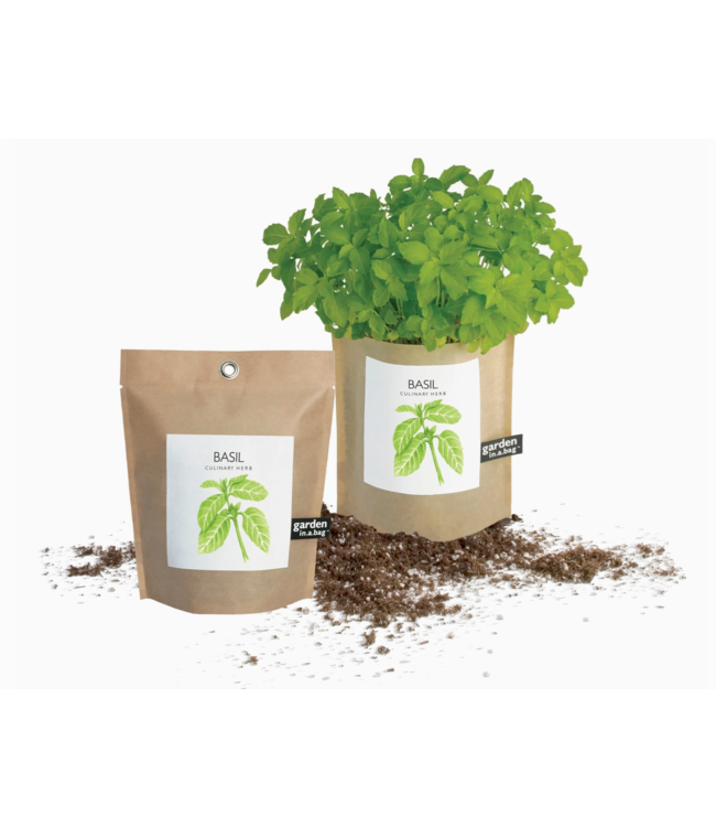 Garden in a Bag-choose from 4 blooms