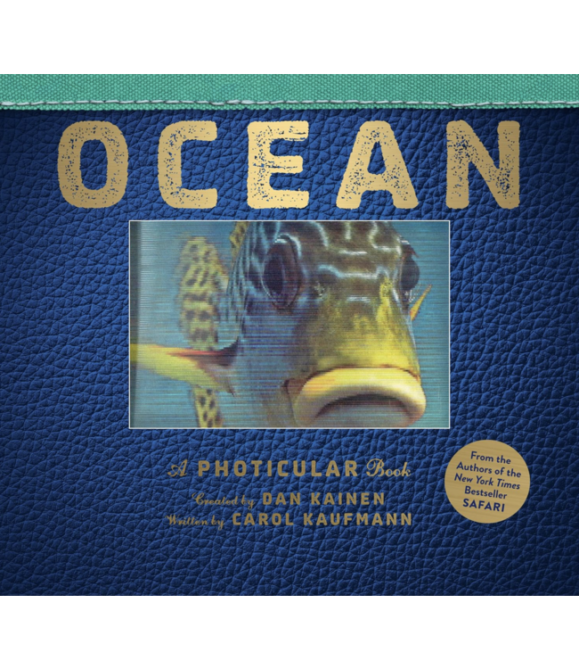 Ocean: A Photicular Book