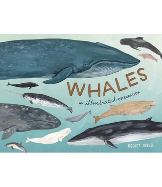 Harper Group Whales: An Illustrated Celebration