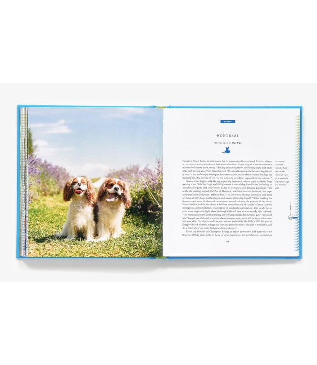 50 Places to Travel With Your Dog Before You Die