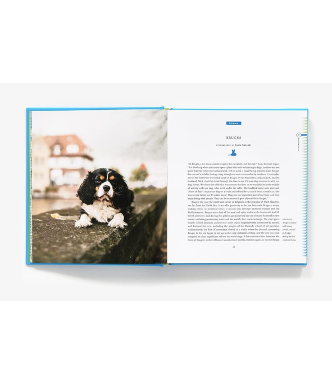 50 Places to Travel With Your Dog Before You Die