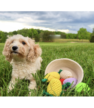 Knotty Pawz Fruit & Veggie Dog Toys-choose from 3 kinds