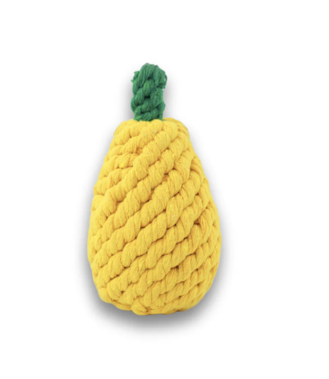 Fruit & Veggie Dog Toys-choose from 4 kinds