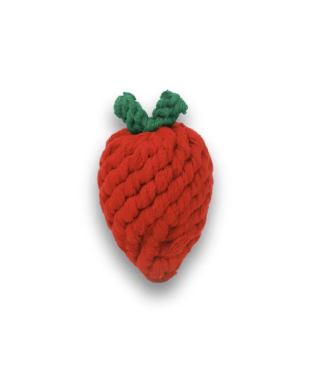 Fruit & Veggie Dog Toys-choose from 4 kinds