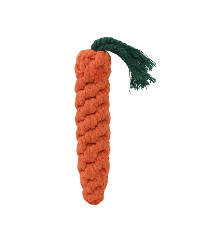 Fruit & Veggie Dog Toys-choose from 4 kinds
