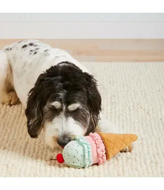 Ice Cream Dog Toy