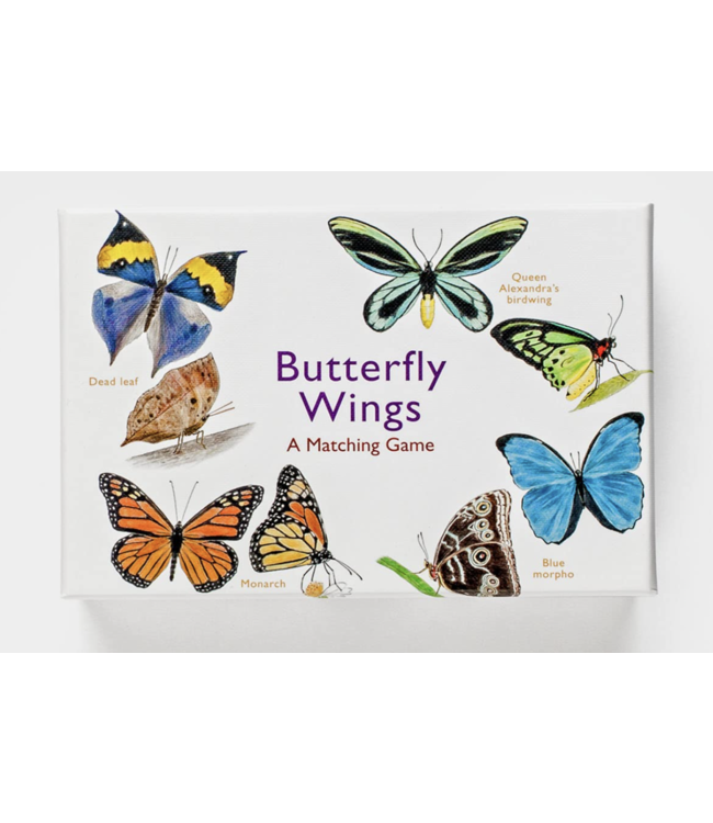 Butterfly Wings Matching Game