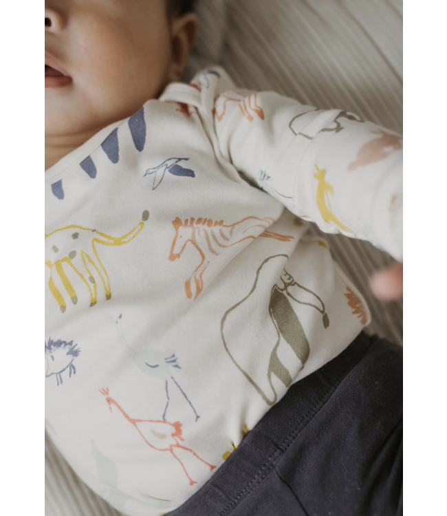 Organic Cotton Lap Shoulder One Piece-choose from 2 patterns