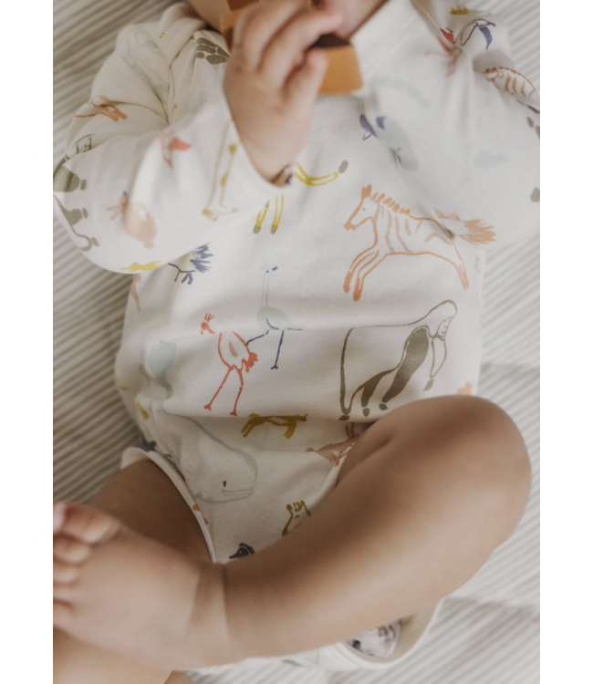 Organic Cotton Lap Shoulder One Piece-choose from 2 patterns