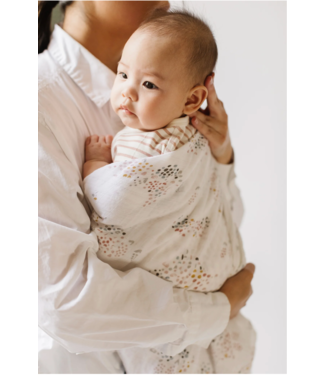 Organic Muslin Cotton Swaddles-choose from 2 patterns