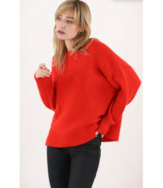 Estheme Chunky Cashmere Crew Neck Sweater-available in 2 colors